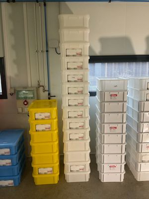 des cartons empilés les uns sur les autres dans un débarras