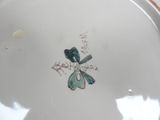 a white plate with a green and blue design on it