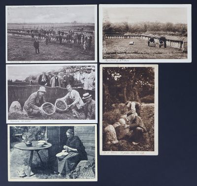 plusieurs vieilles photographies en noir et blanc représentant des personnes et des animaux dans un champ
