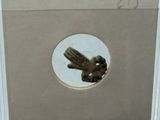 a picture of a picture of a bird in a box