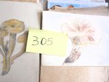 une photo montrant plusieurs dessins posés sur une table
