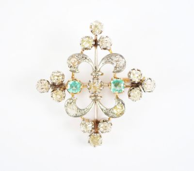 a close up of a broochle on a white background