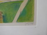 drawing of a birdhouse in a field with a fence in the background
