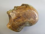 an image of a piece of rock on a white surface