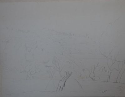 dessin au crayon représentant un paysage avec des arbres et des buissons au premier plan