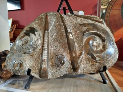 a sculpture of a turtle on display in a museum