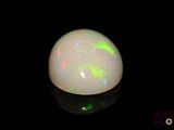 a close up of a white oplite on a black surface
