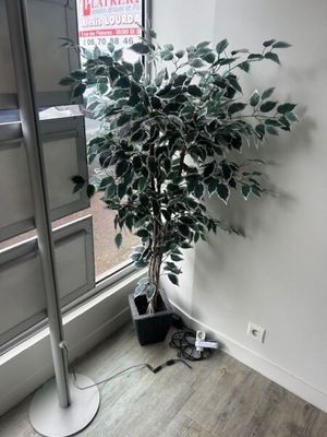 Ensemble de deux plantes artificielles en pot