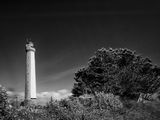 photographie en noir et blanc d'un phare entouré d'arbres et de buissons