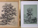 deux photos encadrées représentant un arbre et un banc