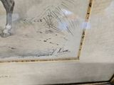 a picture of a drawing of a horse in a frame