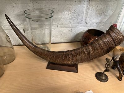 une corne posée sur une table, à côté d'un verre d'eau