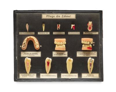 an image of a display case with a variety of dental tools