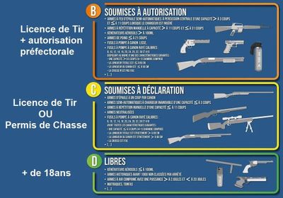 RÈGLEMENTATION : - Les armes de Catégorie D peuvent être acq…
