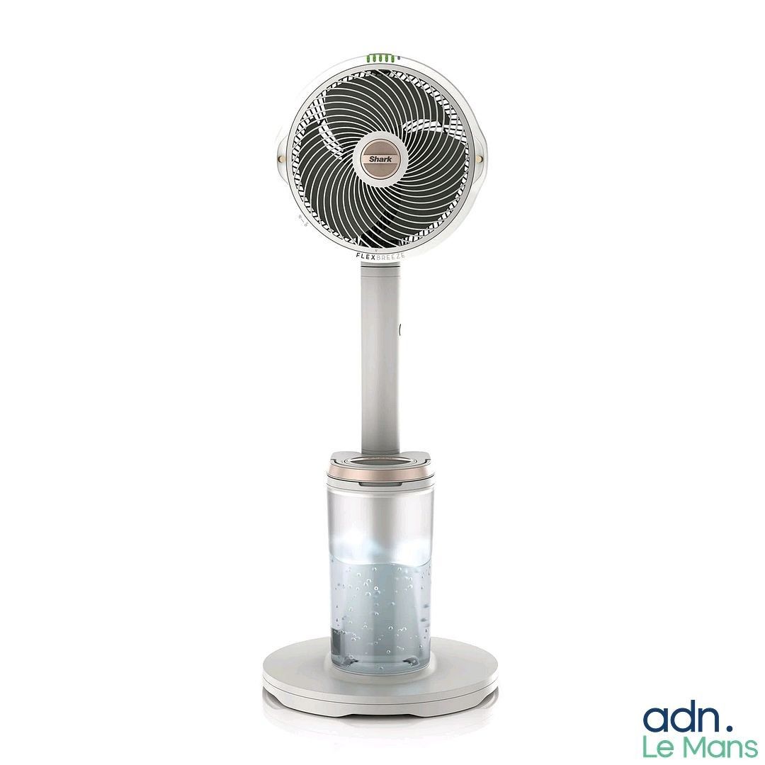 Destockage & Invendus