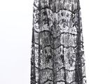 a black and white lace skirt on a mannequin mannequin mannequin mannequin mann