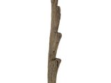an image of a piece of drift wood on a stand