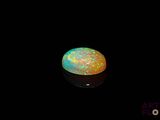 an oplite in the dark with a black background