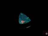an oplite in the dark with a black background