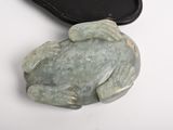 a green frog that is sitting next to a black case