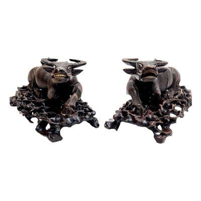 VIETNAM Paire de buffles en bois sculpté, yeux en sulfure, X…