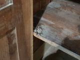 a cat that is sitting on a wooden shelf