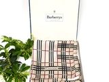 the burbers scarf is in a box next to a potted plant