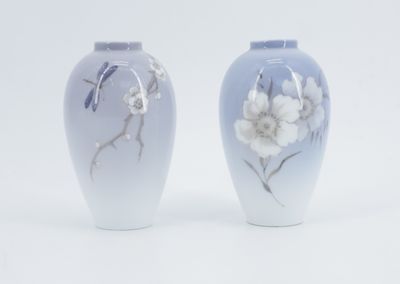 deux vases sur lesquels sont peints des fleurs sur fond blanc