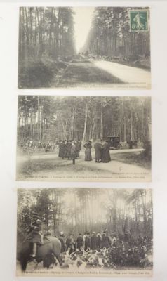 trois vieilles photos en noir et blanc représentant des personnes et des animaux dans les bois