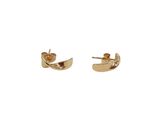 a pair of gold plated earrings on a white background