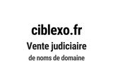 Photo 1/1 du lot