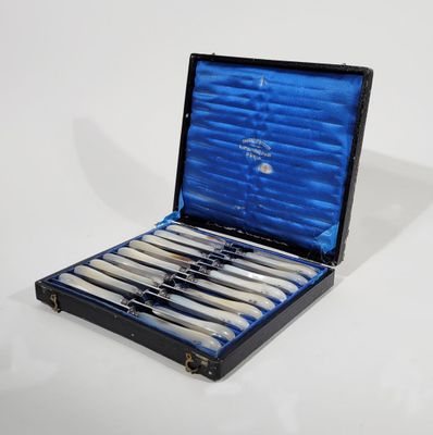 a black case with six knives in it on a white surface