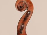 a close up of the back of a violin with a fiddle in the foreground