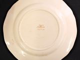 a white plate with a brown design on it