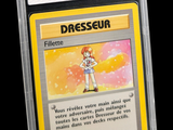 the card has a yellow border around the bottom of it