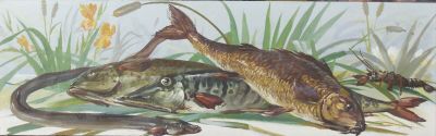 École XXe "Nature-morte aux poissons de rivière", huile sur …