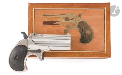 a close up of a revolver with a wooden case on a white background