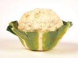 un chou-fleur blanc dans un bol vert posé sur un plan de travail blanc