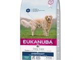 Alimentation Eukanuba Daily Care pour chiens en surpoids