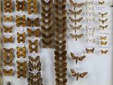 many different types of butterflies displayed in a display case