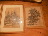 three framed pictures of trees on a table