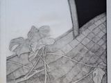 une image représentant un dessin en noir et blanc d'une plante
