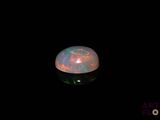 an oplite in the dark with a black background