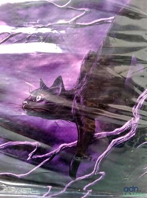 a cat that is sitting inside of a plastic bag