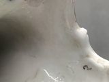 a close up view of a porcelain figurine of a woman ' s face