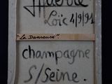 Photo 4/4 du lot
