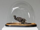 un oiseau qui se trouve sous une cloche en verre posée sur une table