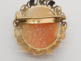 an image of a broochle with an orange stone in the center