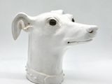 a white dog head with a collar on it ' s neck