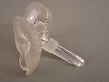 a clear glass object with a flower inside of it
